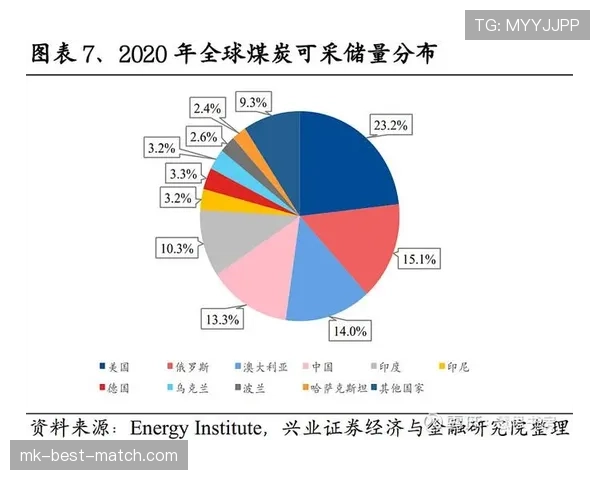 坦巴克蒂当前市场价值与表现分析